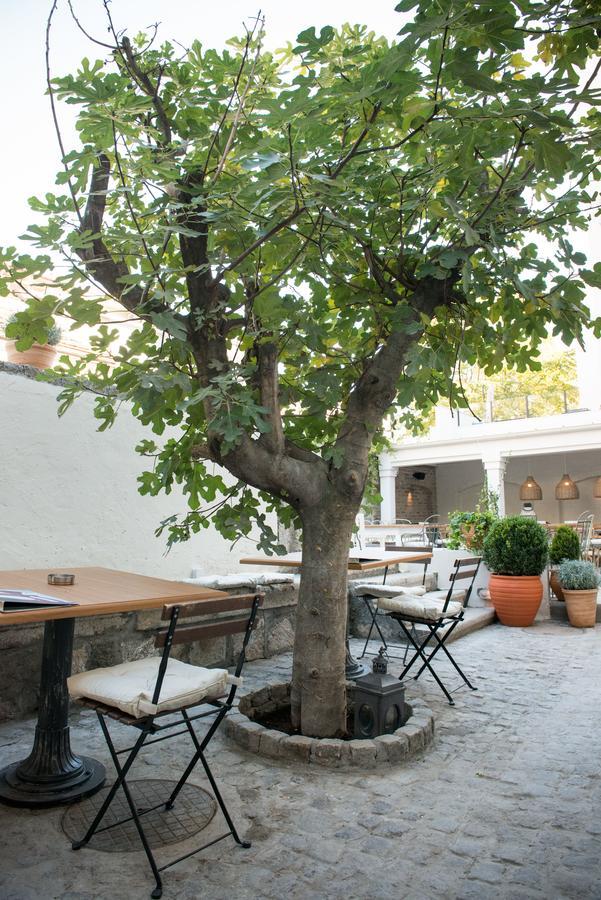 Нощувка със закуска (B & B) Smokvica Dorcol Белград